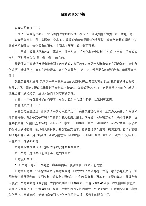 꼶300_У˻꼶300_꼶Ĳ²˭300