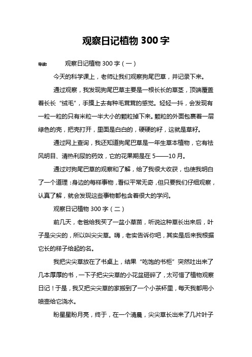 观察日记植物300字 导读:观察日记植物300字(一)今天的科学课上,老师