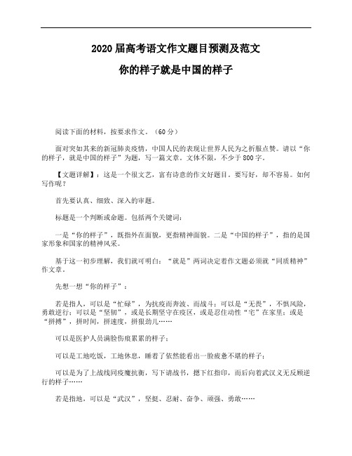 请以"你的样子,就是中国的样子"为题,写一篇文章.