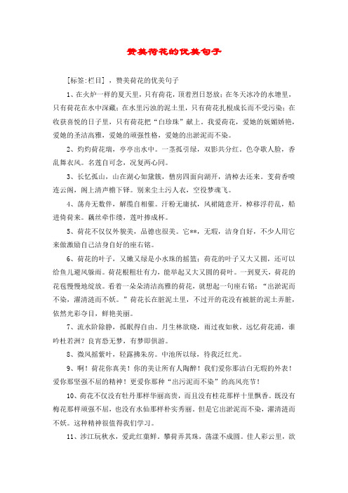 赞美荷花的优美句子 [标签:栏目] ,赞美荷花的优美句子 1,在火炉一样