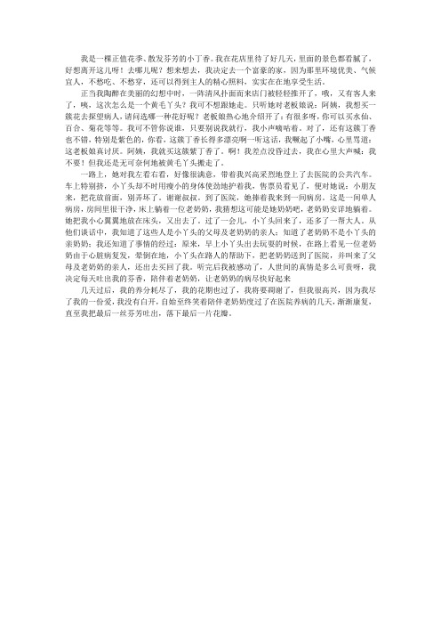 丁香花的故事 - 百度文库