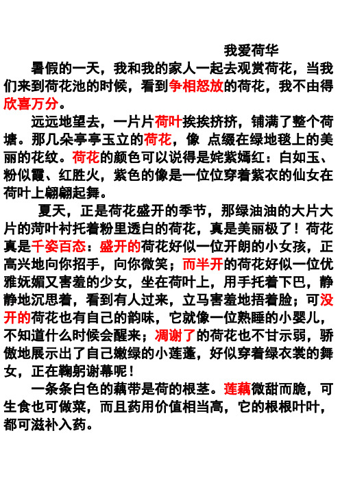 我爱荷华 暑假的一天,我和我的家人一起去观赏荷花,当我们来到荷花池