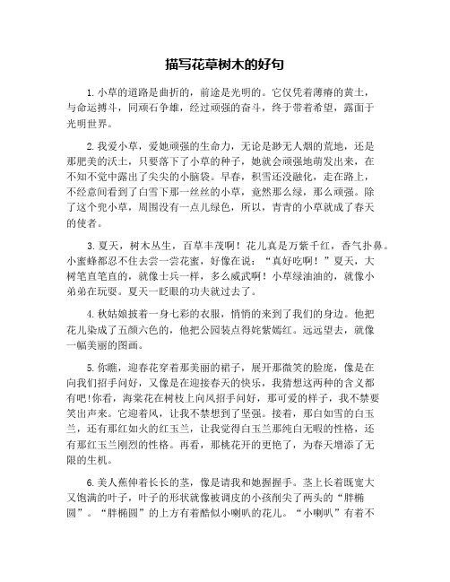 描写花草树木的好句 1.小草的道路是曲折的,前途是光明的.