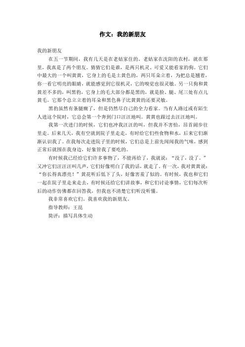 我的新朋友作文600字 - 百度文库