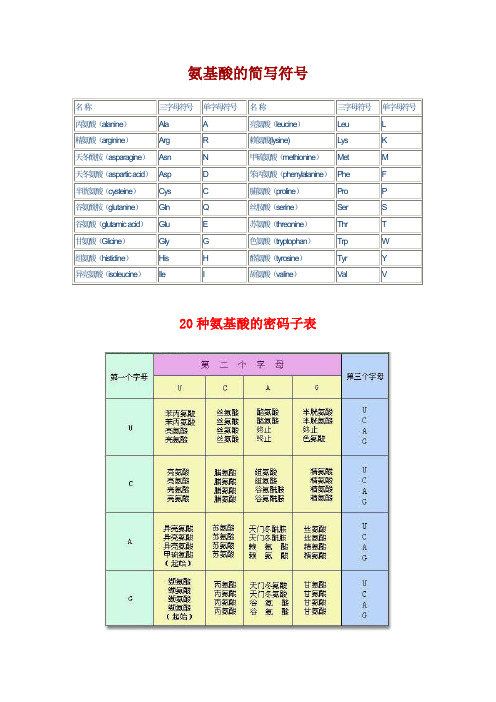 密码子表 - 百度文库