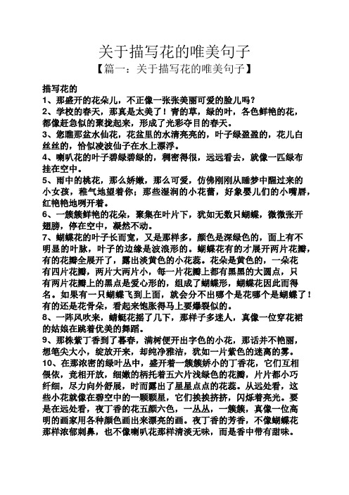 描写兰花的唯美句子 - 百度文库