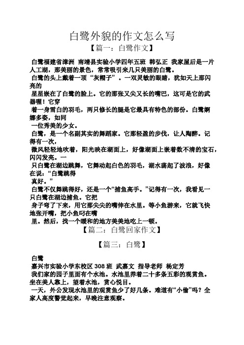 白鹭的头上戴着一顶"灰帽子".一双灵敏的眼睛,496_702竖版 竖屏