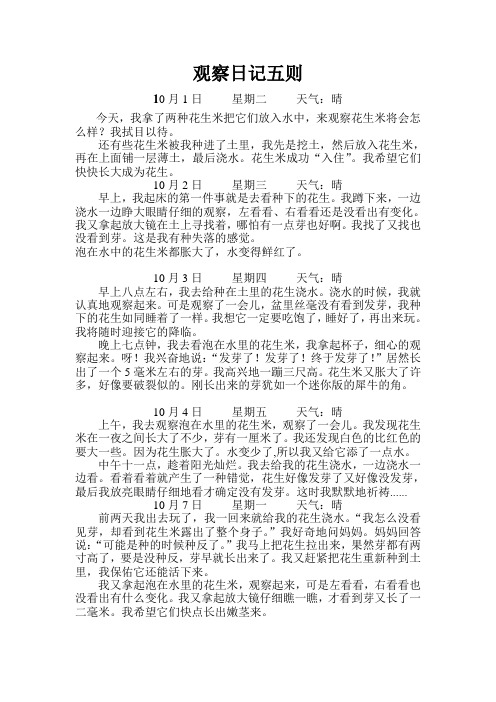 种花生作文 - 百度文库