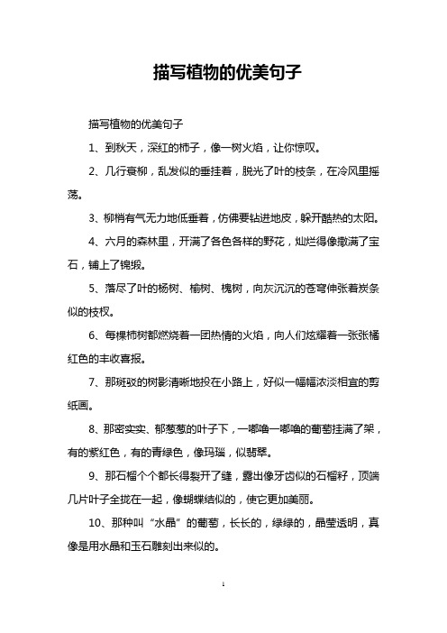 描写植物的优美句子 描写植物的优美句子 1,到秋天,深红的柿子,像一树