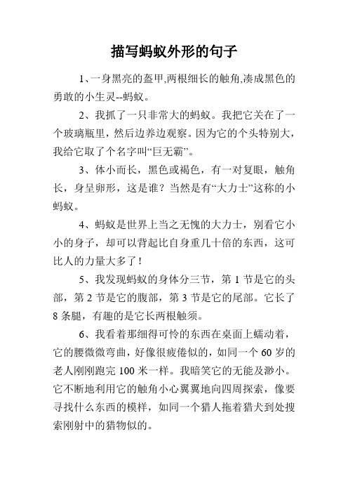 描写蚂蚁外形的句子 1,一身黑亮的盔甲,两根细长的触角,凑成黑色的
