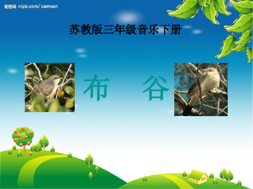 布谷鸟律动课件 - 百度文库