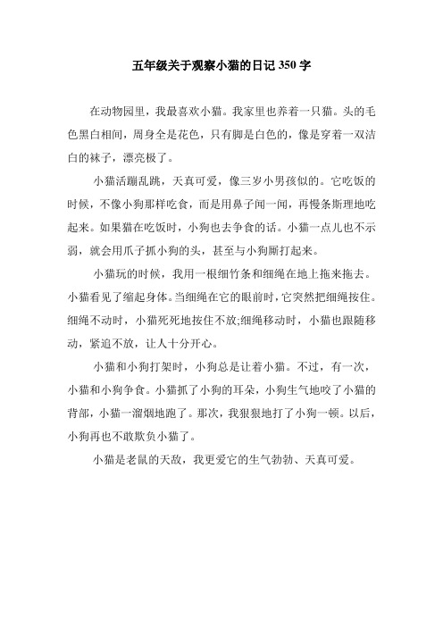五年级关于观察小猫的日记350字 在动物园里,我最喜欢小猫.