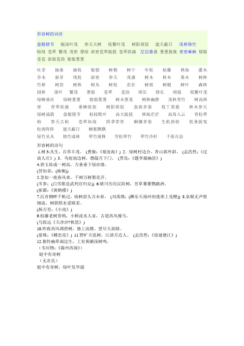 形容树的词语 盘根错节根深叶茂参天大树枝繁叶茂树影斑驳遮天蔽日