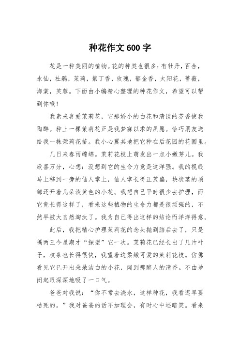 花般怒放的信念作文600字百合花议论文(花般绽放是什么意思)
