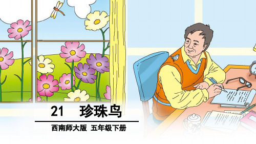 珍珠鸟又叫梅花雀,红珍珠等,属雀形目, 文鸟科,我国云南,海南以及