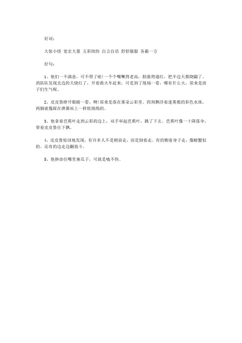 皮皮鲁传读书笔记摘抄 - 百度文库