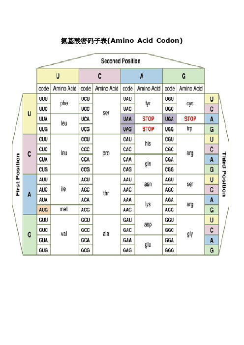 氨基酸密码子表(amin acid cdn) 名称三字母符号单字母符号名称三字母