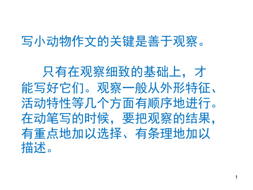 写小动物作文的关键是善于观察.