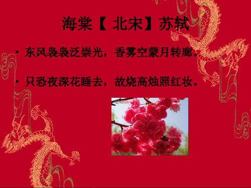 海棠【 北宋】苏轼 东风袅袅泛崇光,香雾空蒙月转廊.