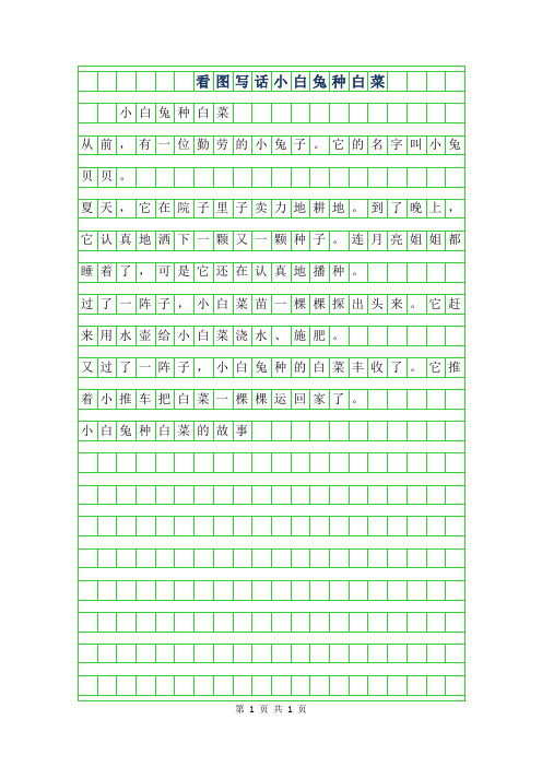 看图写话小白兔种白菜 小白兔种白菜从前,有一位勤劳的小兔子.