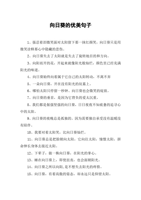 向日葵的优美句子 1,强忍着泪微笑面对太阳留下那一抹红颜笑,向日葵