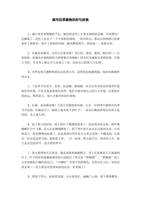 描写花草植物的好句好段 1,蒲公英有着矮矮的个头,她们的花托上长着