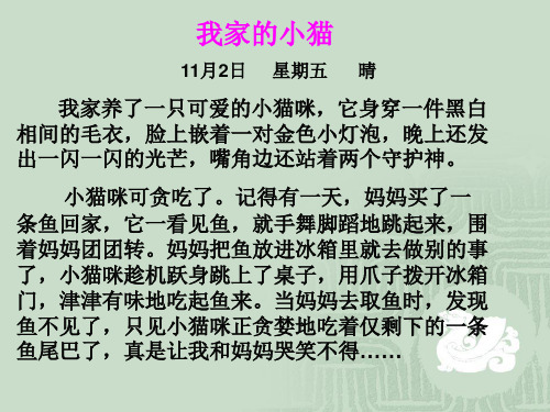 我家的小猫 11月2日 星期五 晴 我家养了一只可爱的小猫咪,它身穿一件