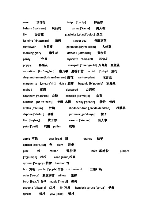 花的英语单词 - 百度文库