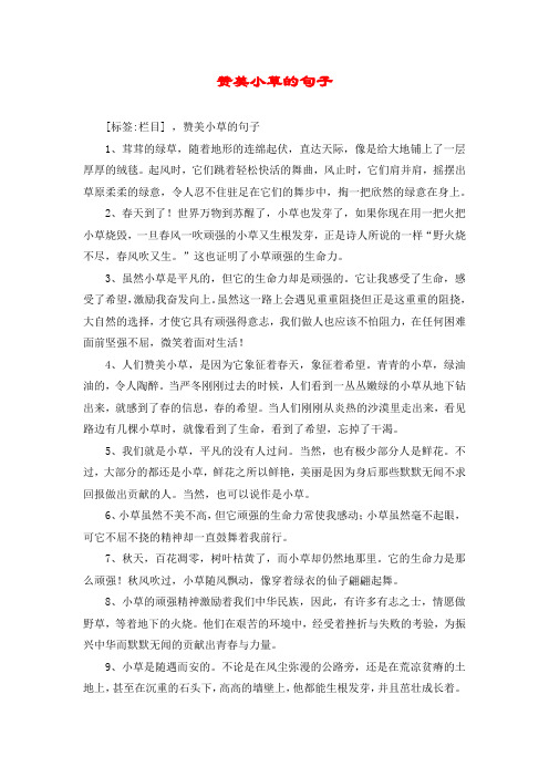 起风时,它们跳着轻松快活的舞曲,风止时,它们肩并肩,摇摆出草原柔柔的