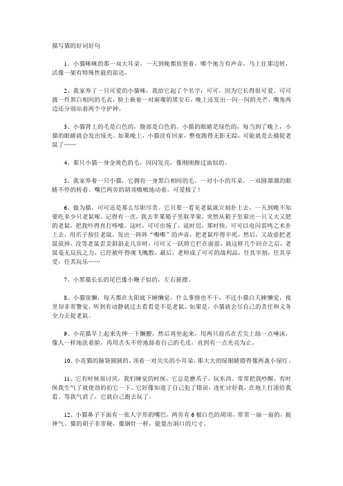 描写小猫的优美句子 - 百度文库