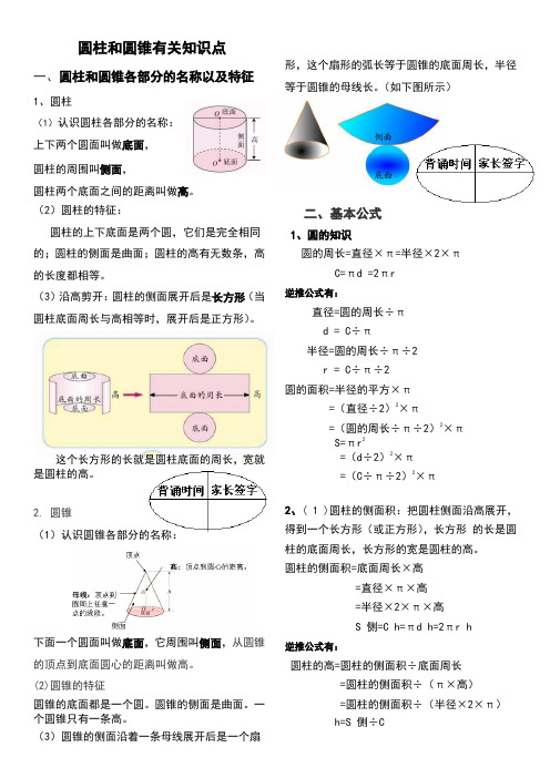 圆柱和圆锥有关知识点 一,圆柱和圆锥各部分的名称以及特征 1,圆柱 (1