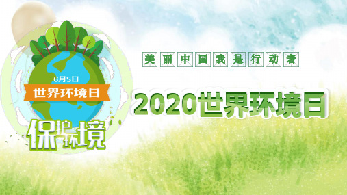 美丽中国我是行动者 2020世界环境日,他们用一根棍子插着鱼,不停地