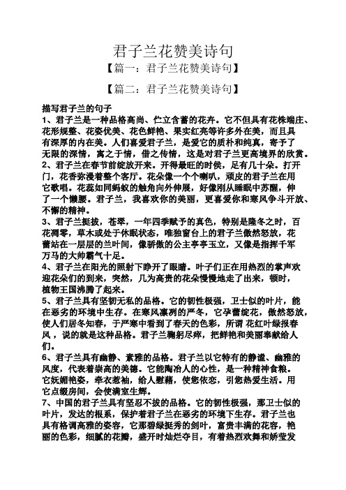 君子兰花赞美诗句】 【篇二:君子兰花赞美诗句】 描写君子兰的句子 1