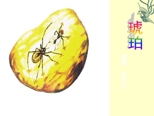 德国柏吉尔 琥珀 飒飒 松脂 拂拭 晌午 渗出 淹没 澎湃 (h pò) (sà)