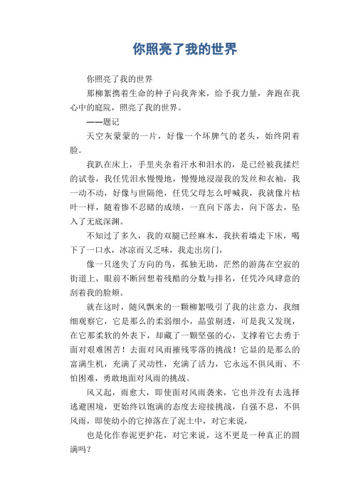 那柳絮攜著生命的種子向我奔來,給予我力量,奔跑在我心中的庭院,照亮