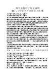 包粽子作文500字图片