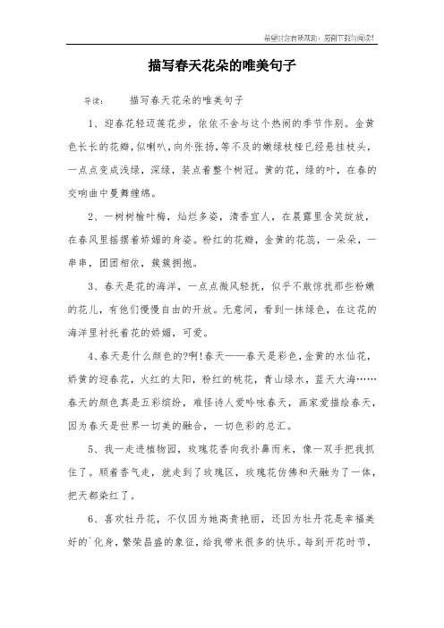 金黄色长长的花瓣,似喇叭,向外张扬,等不及的嫩绿