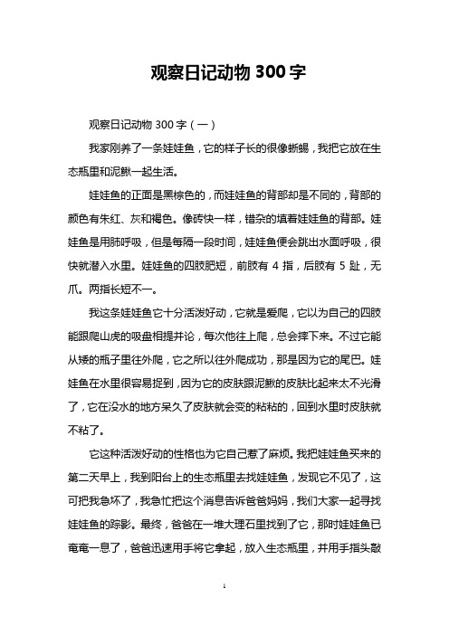 观察小猫日记300字左右四年级(观察小猫日记300字左右四年级作文)