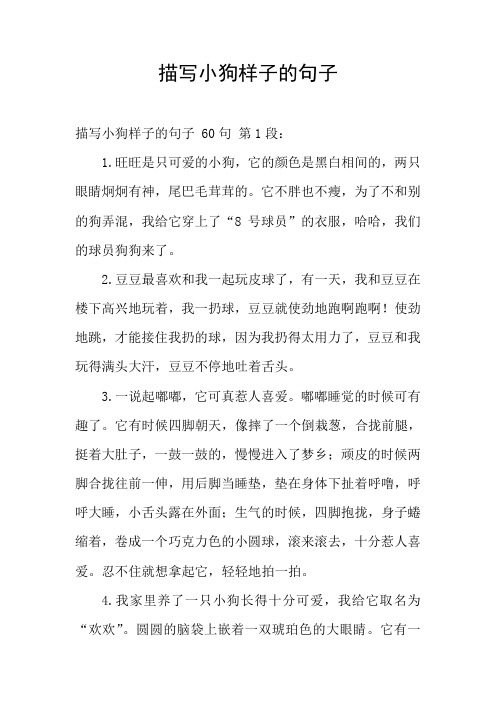 描写狗的外貌优美句子 - 百度文库