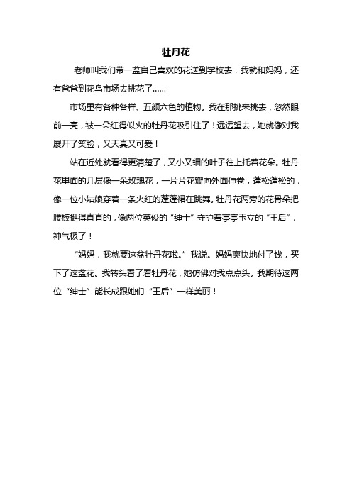 牡丹花作文300优秀 - 百度文库