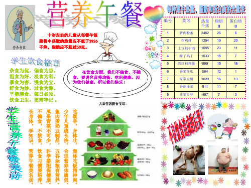 营养手抄报 - 百度文库