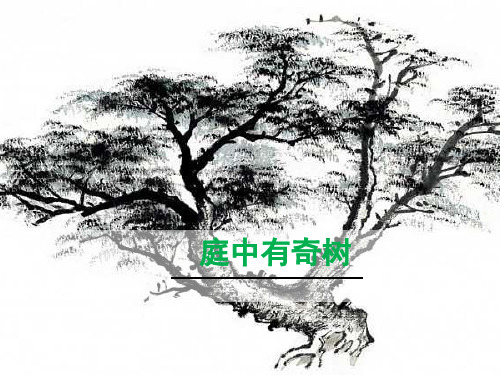 庭中有奇樹 《古詩十九首》是東漢文人五言詩的 代表作品,它是五言詩