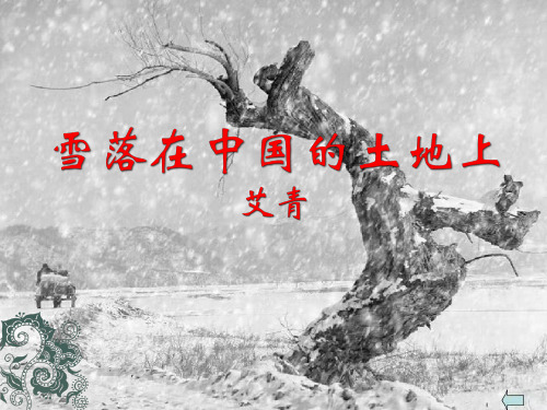 雪落在中国的土地上创作时间_雪落在中国的土地上艺术特点_雪落在中国土地上是谁的作品