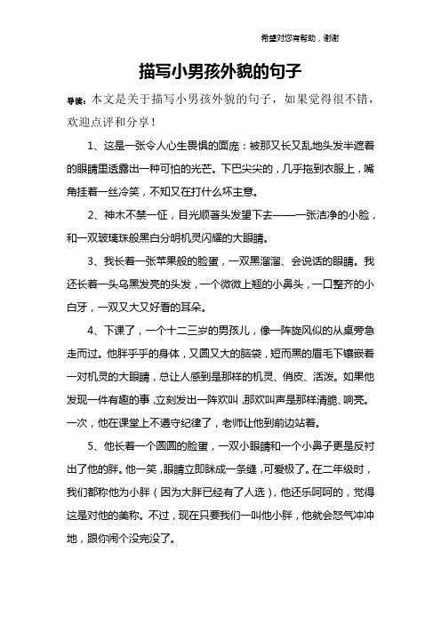 导读:本文是关于描写小男孩外貌的句子,如果觉得很不错,欢迎点评和