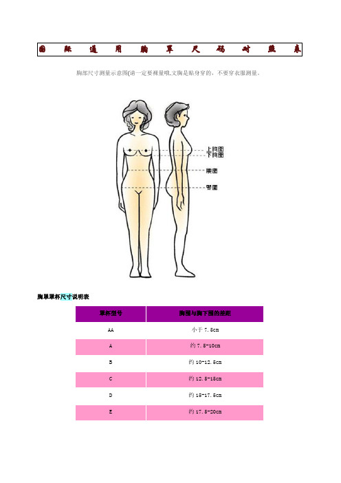 國際通用胸罩尺碼對照表 胸部尺寸測量示意圖(請一定要裸量哦,文胸是