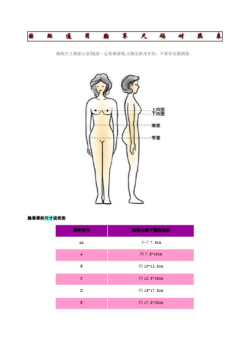 三围标准对照表 全网资源