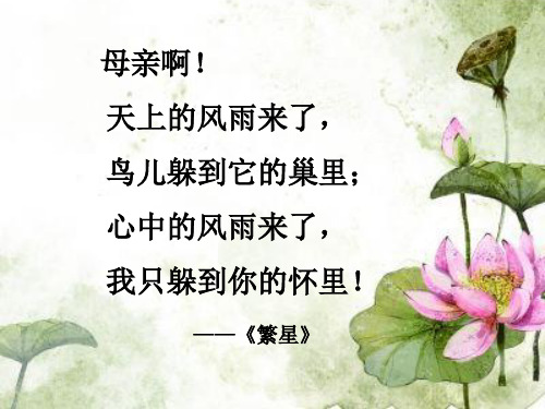 《繁星》 荷叶〃 母亲 冰心 一,初读课文,积累字词 并蒂 (dì )