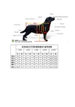 狗狗体型对照表图片