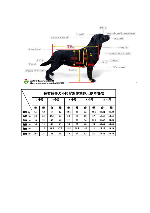 拉布拉多犬怎麼訓練 - 百度文庫