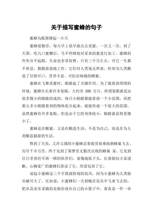 关于描写蜜蜂的句子 蜜蜂为狐狸撑起一片天蜜蜂很勤劳,每天早上很早就